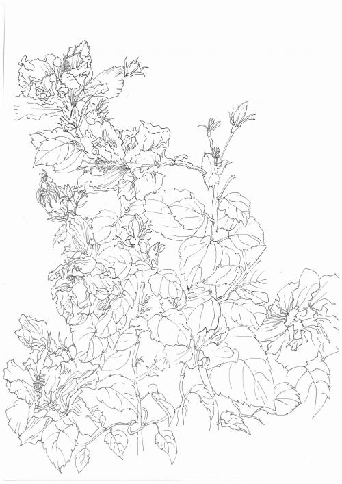 BuyJapanDiplomaScores